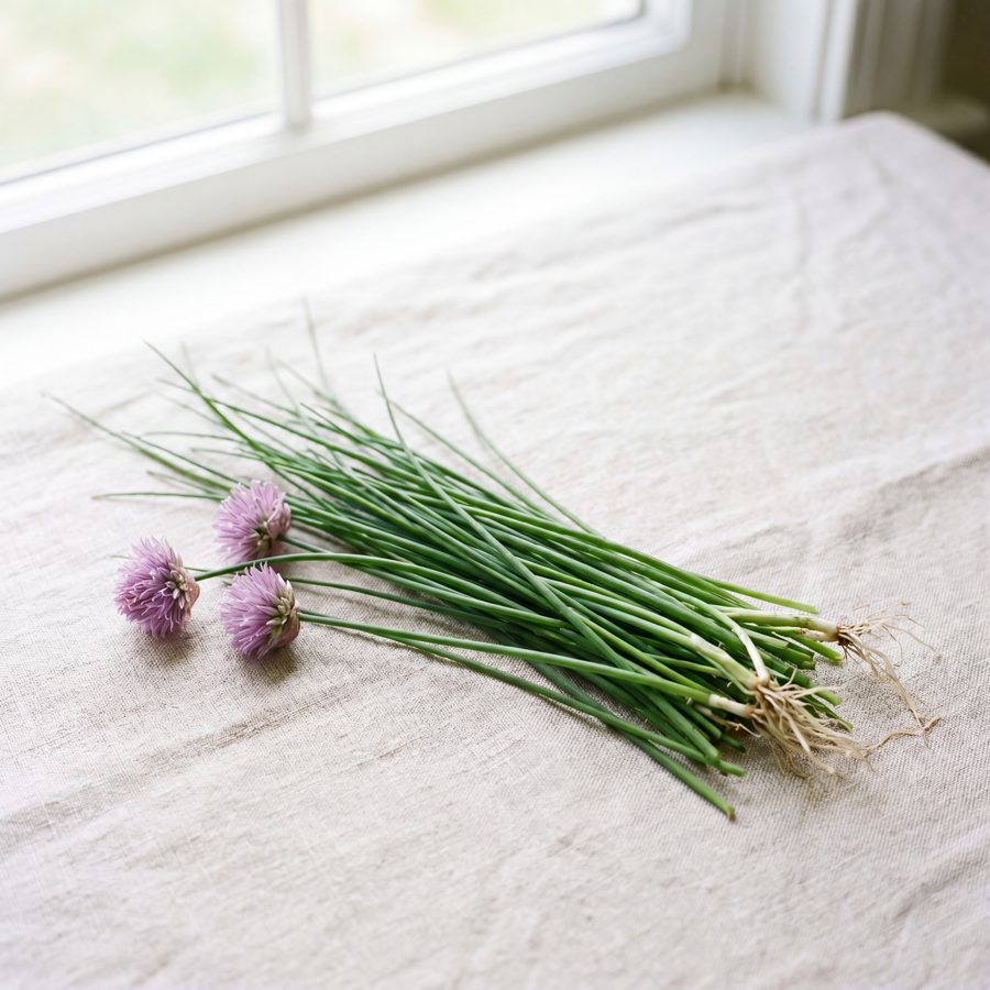 Chives