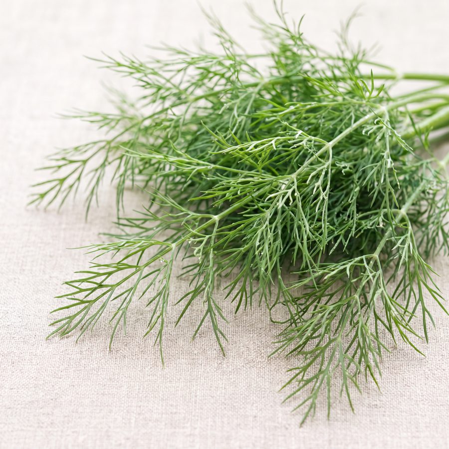 Dill