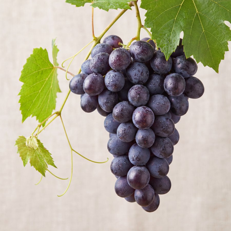 Grapes