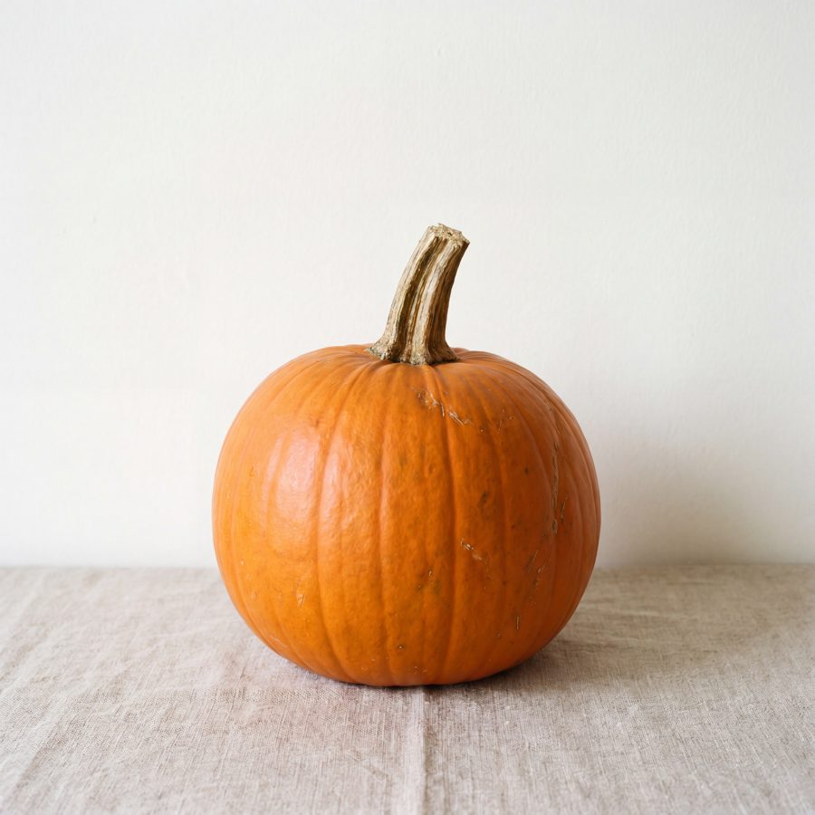Pumpkin